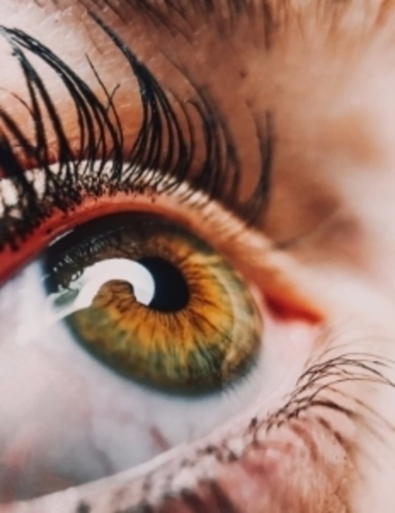 Singleeye