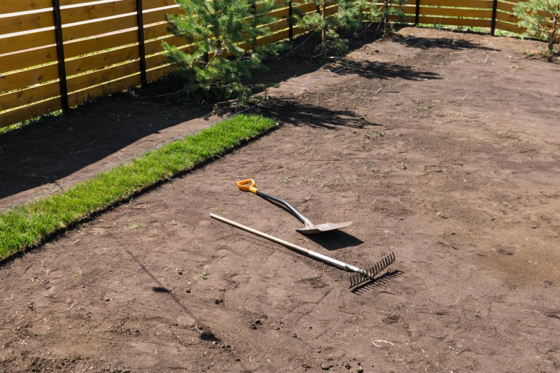 Shovel