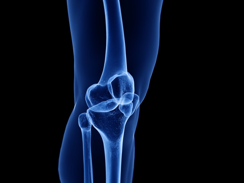Knee