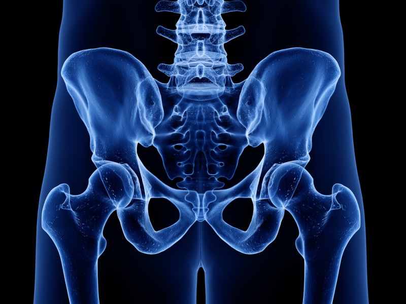 Hip