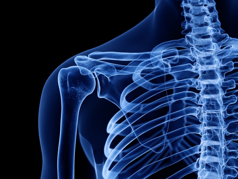 Shoulder