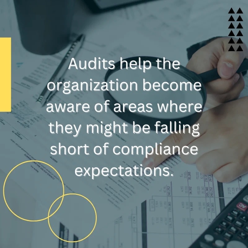 Audits help the organized become aware of areas where they might be falling short of compliance expectations.