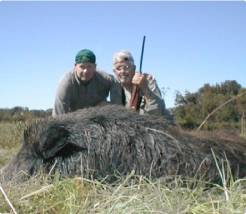 Russian Boar Hunting