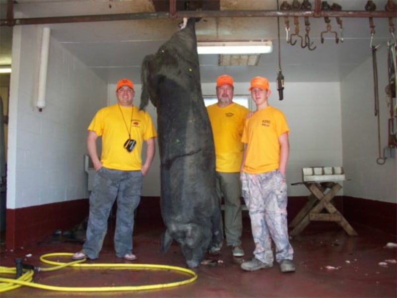 Great Youth Hunt