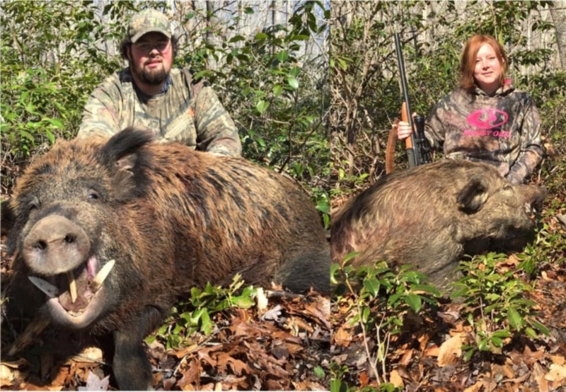 Cody and Laci Walker’s Boar Kills