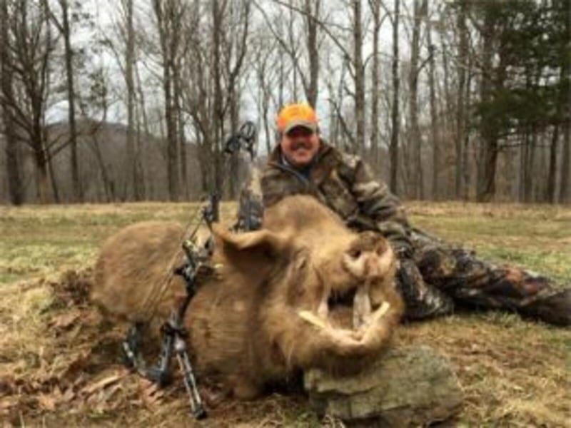 Big Tusker Killed At Wilderness