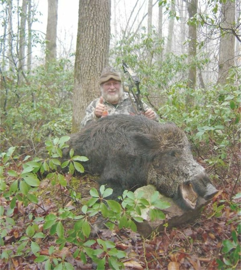 Boar Hunting With A Bow