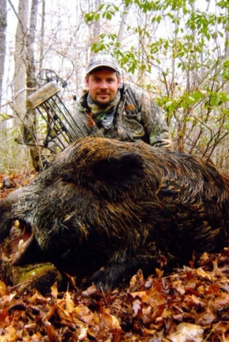 Russian Boar Hunt
