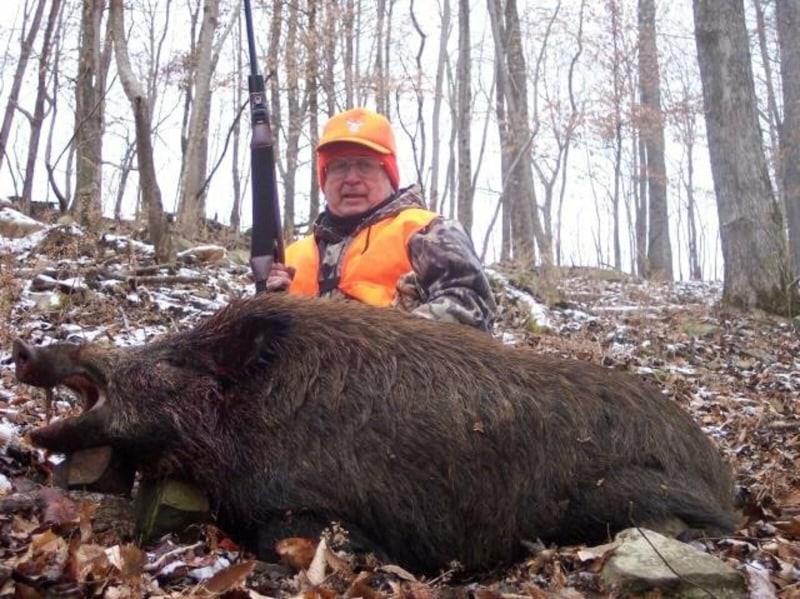 Razorback Boar Hunting