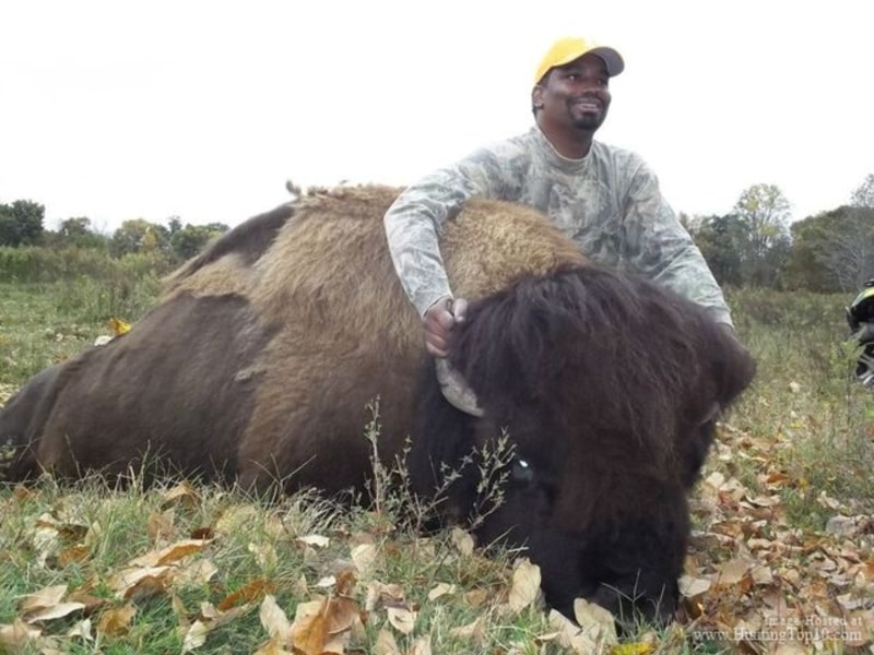 Buffalo Hunts