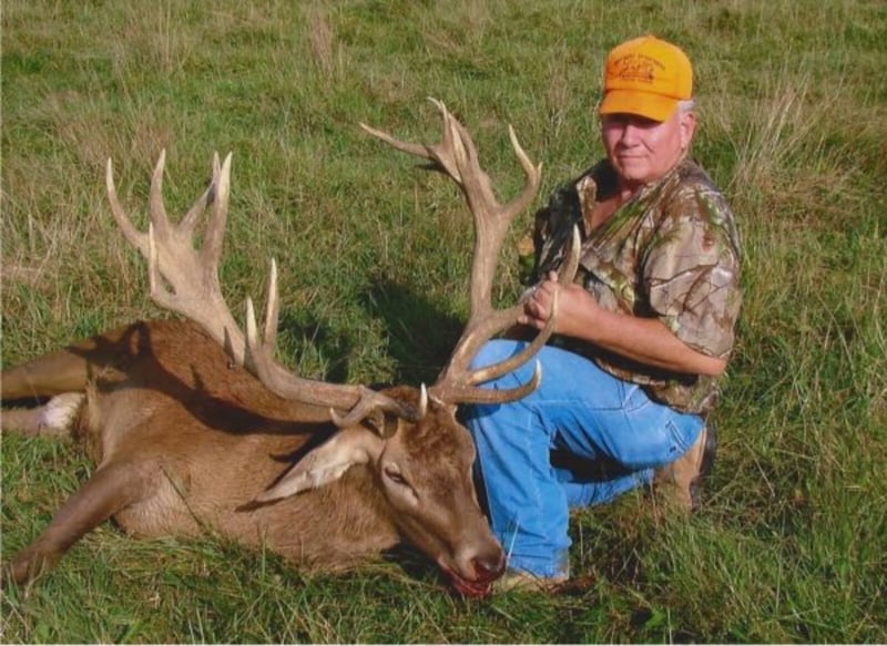 Red Stag Hunts at Wilderness