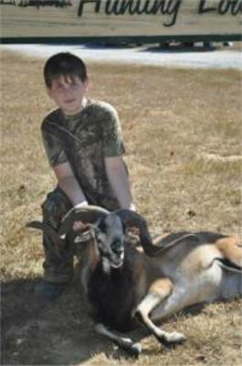 Corsican Ram Youth Hunt