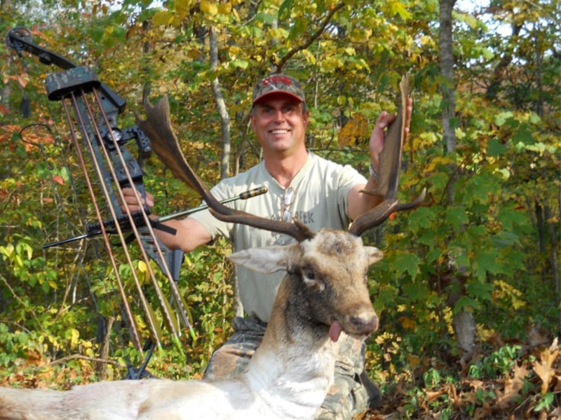 Monster Fallow Deer “Moose”