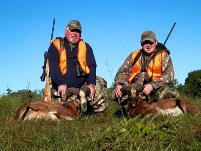 Double Ram Kill On A Beautiful Day