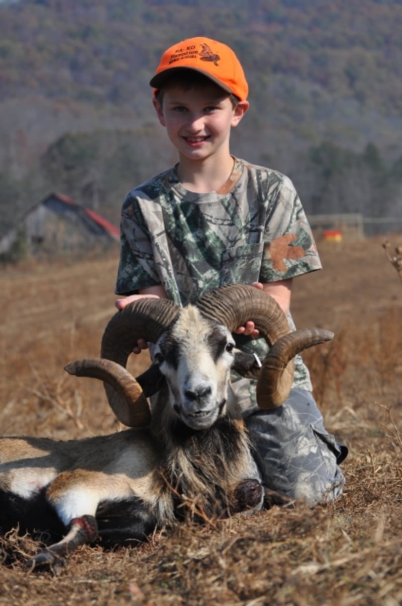 Carter kills his first corsican ram at Wilderness Hunting Lodge