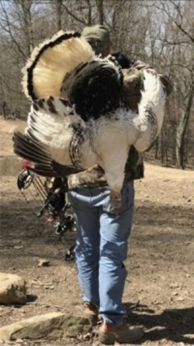 Great Turkey Hunt
