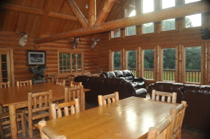 Relax in Our Leather Couches