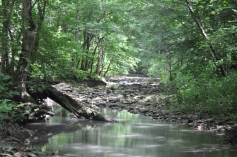 Wilderness Scenery