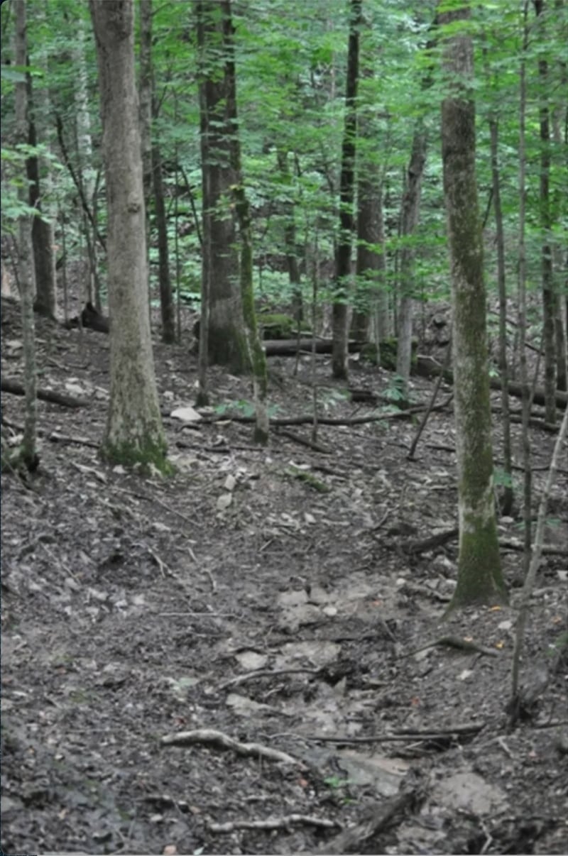 Wilderness Mountain Terrain