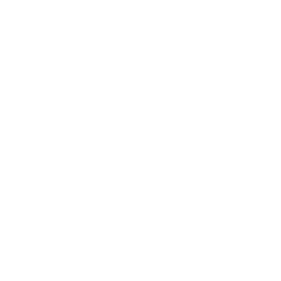 Bible