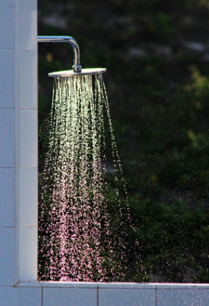Shower Head