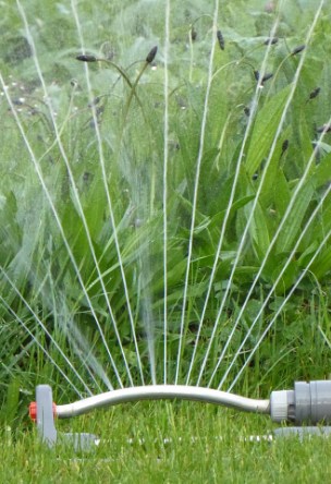 Sprinkler