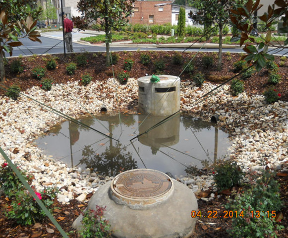 Rain Garden