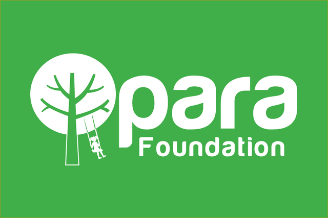 Tuscaloosa All-Inclusive Playground Project