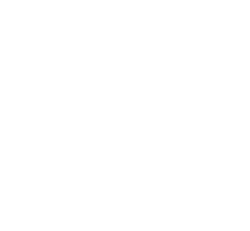 Government