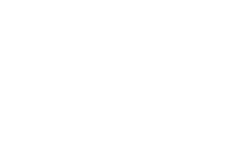 Our Team