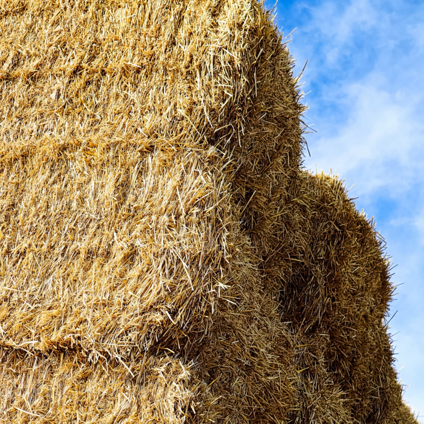 Hay