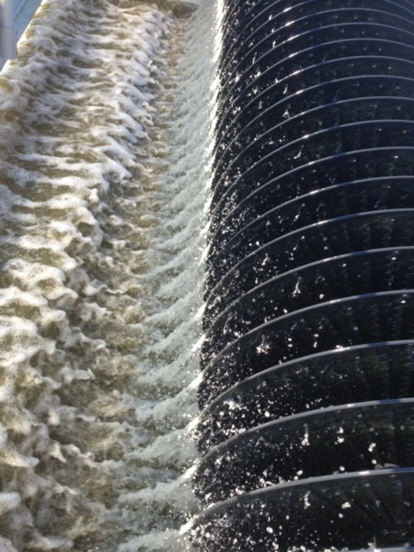 Disc Aerator
