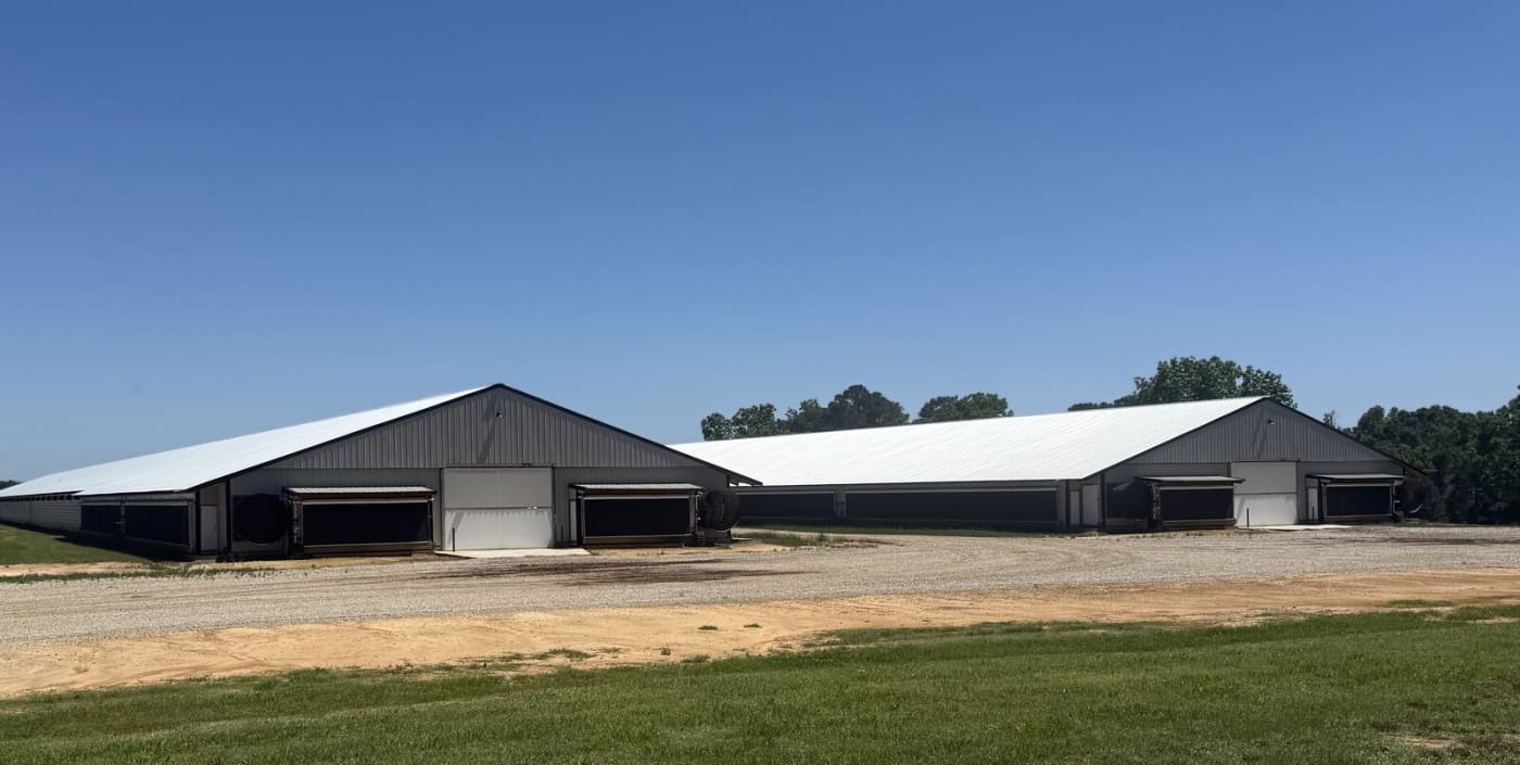 Poultry Mortality Handling Financing Available for Alabama Growers