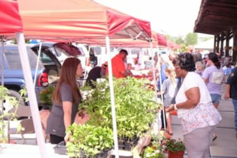 Strawberry Festival Saturday