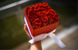 Flores que expresan amor y cariño en cada pétalo.