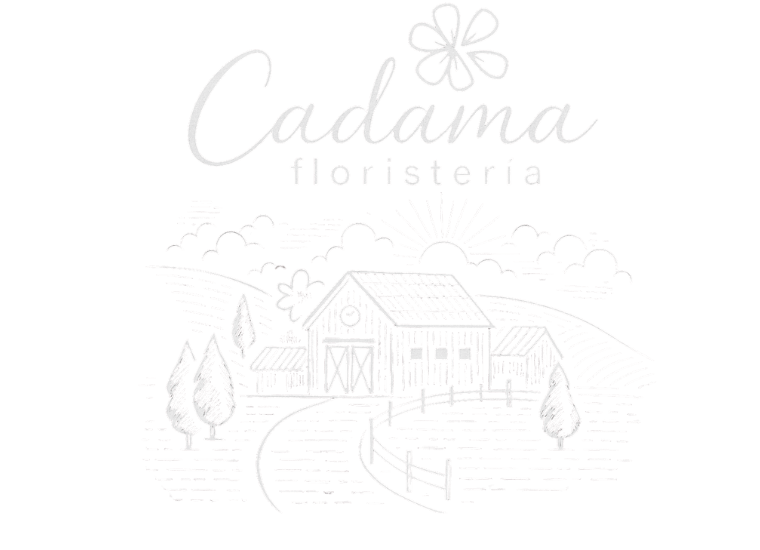 Cadama Floristería