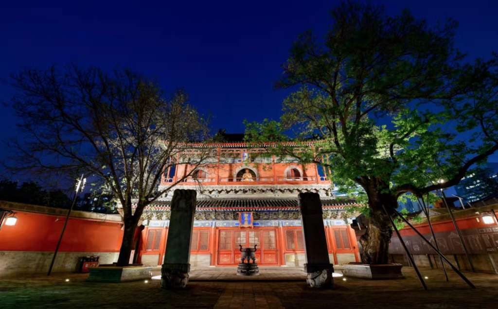 Figure 19. View of the Vairocana inside the Wanfo Pavilion as seen from the ground in front of the building. Courtesy of Yang Zhiguo (Zhihua Temple).