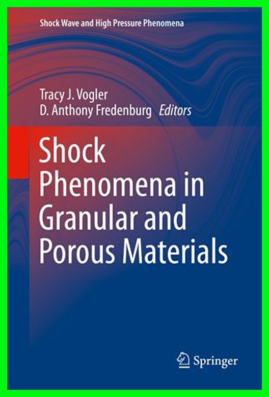 Shock Phenomena in Granular and Porous Materials 2019 img-525