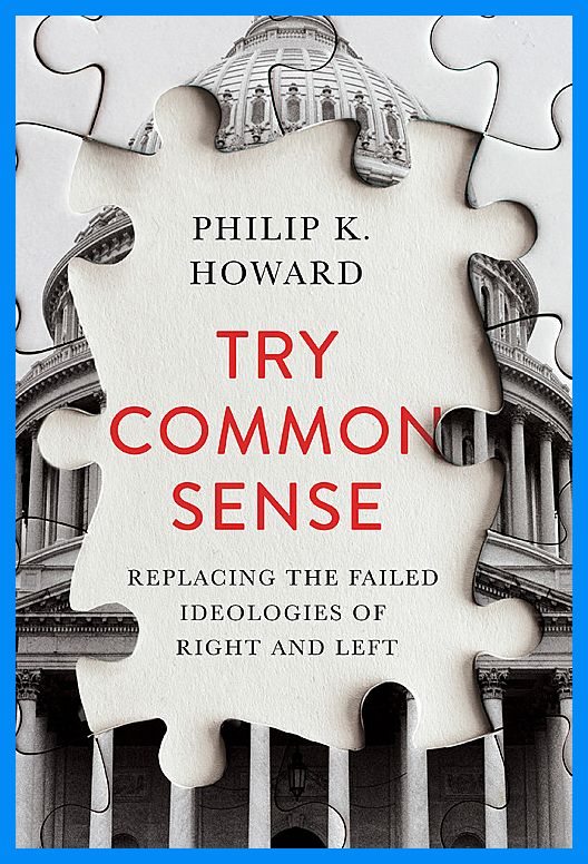Try Common Sense img-244