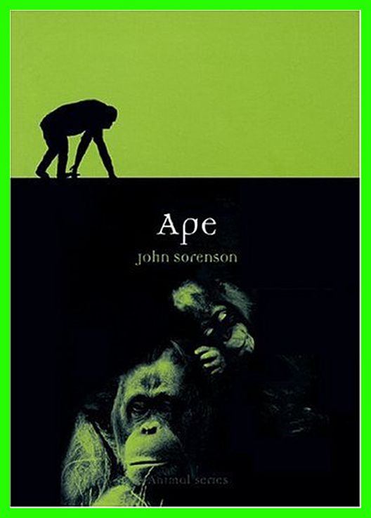 Ape (Reaktion Books - Animal) img-259