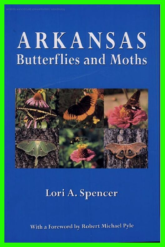 Arkansas Butterflies and Moths img-258