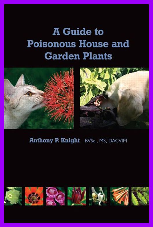 A Guide to Poisonous House and Garden Plants img-276