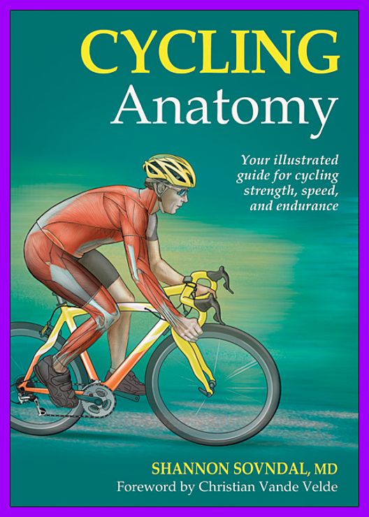 Cycling Anatomy img-263