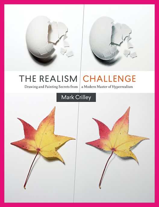 The Realism Challenge Drawing And Painting Secrets img-304