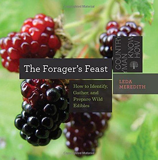 The Forager`s Feast How to Identify img-435