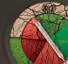 lancet-melb-event-stamp