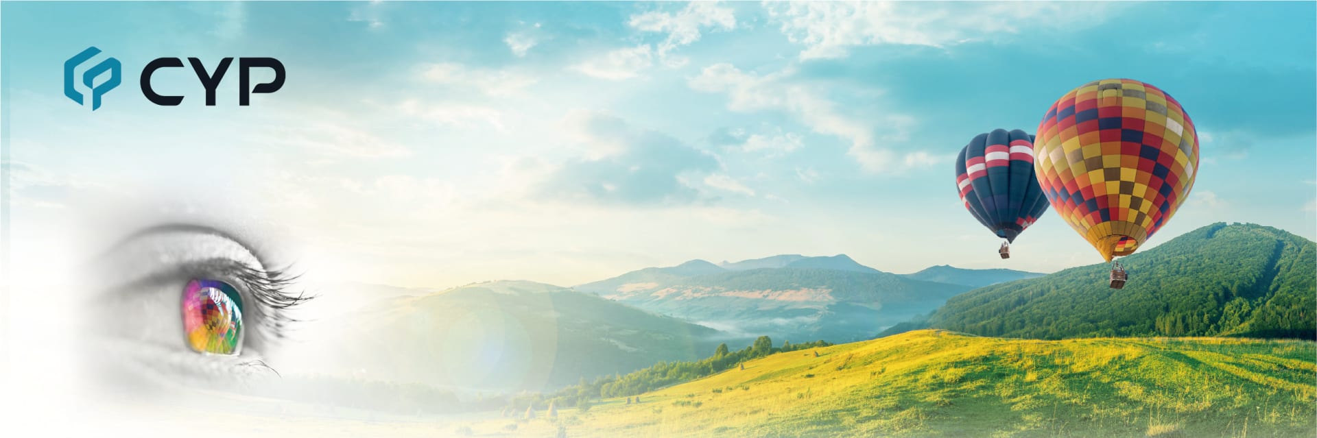 西柏科技股份有限公司 cover image