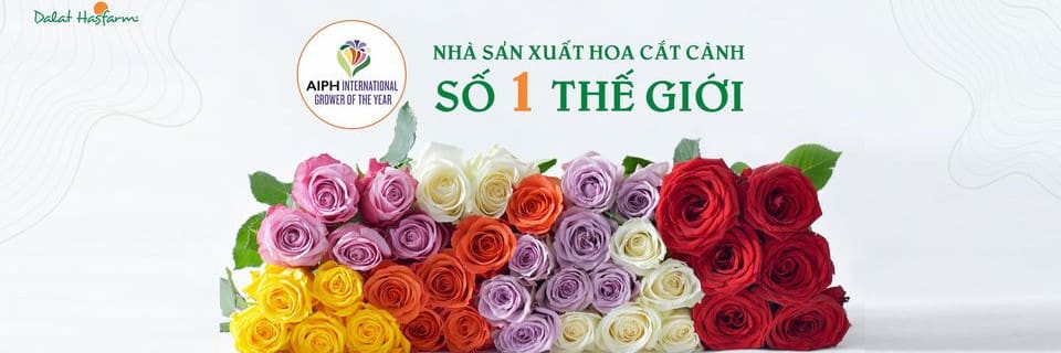 Công ty TNHH Dalat Hasfarm-Chi Nhánh Hồ Chí Minh cover image