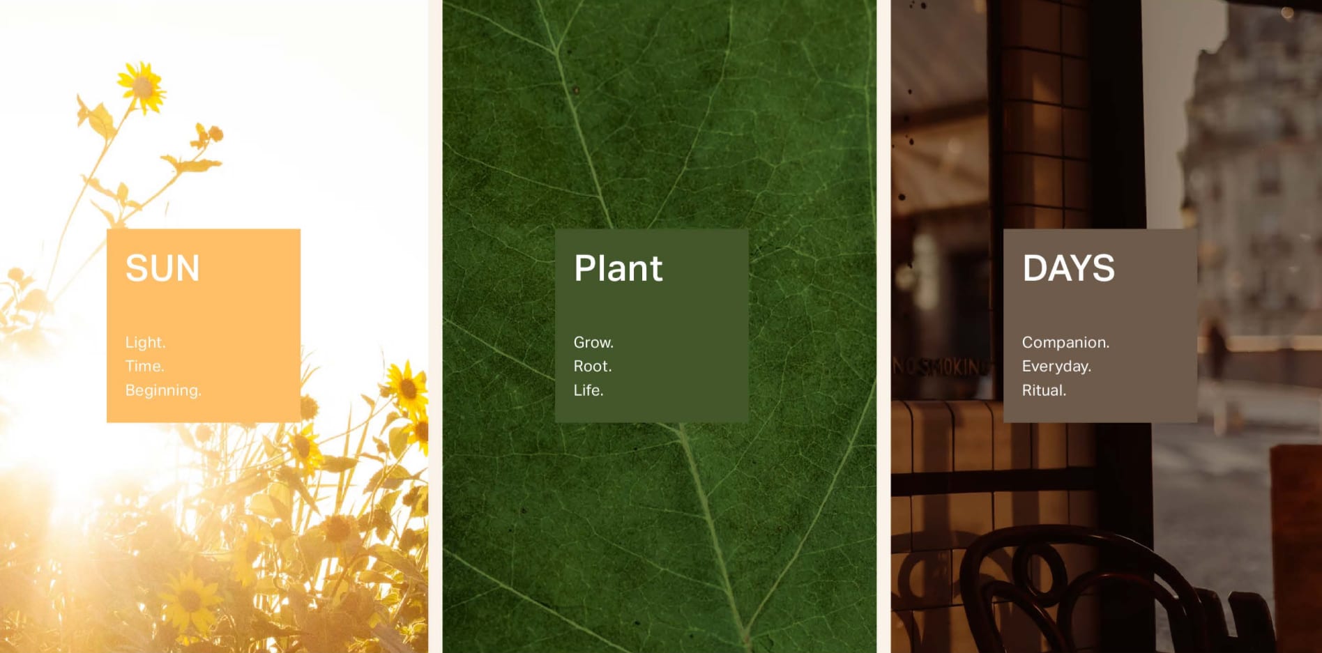 Team Cake Jobs and Talent - Wbm6cn6hax7xw0pyzwig 