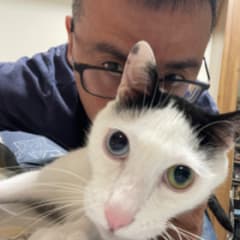 Avatar of 陳潔晞 Jesse Chen.